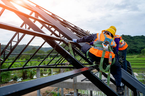 Best Roof Gutter Cleaning  in Agler Estates, FL